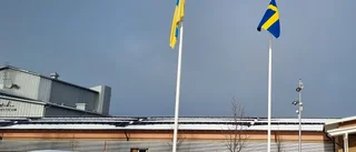 Läsarbilden: Piteå flaggar för Ukraina