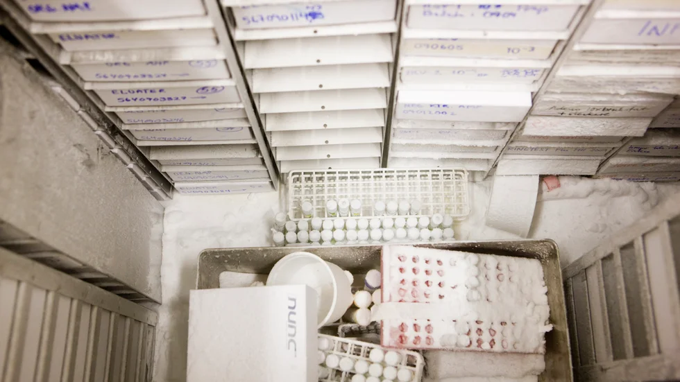 Världshälsoorganisationen WHO har uppmanat ukrainska myndigheter att förstöra alla farliga smittämnen som kan finnas på landets laboratorier. Arkivbild från mikrobiologiska laboratoriet vid Ullevål sjukhus i Oslo.