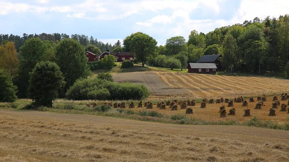 Vacker vy över Dalhem där julkärvarna står för torkning. Vinnaren av Månadens bild augusti 2016 på vt.se. 
Foto: Johanna Karlsson