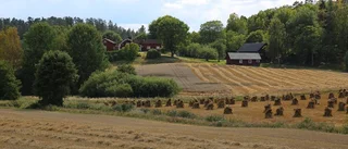 Vinnarbilden för augusti utsedd