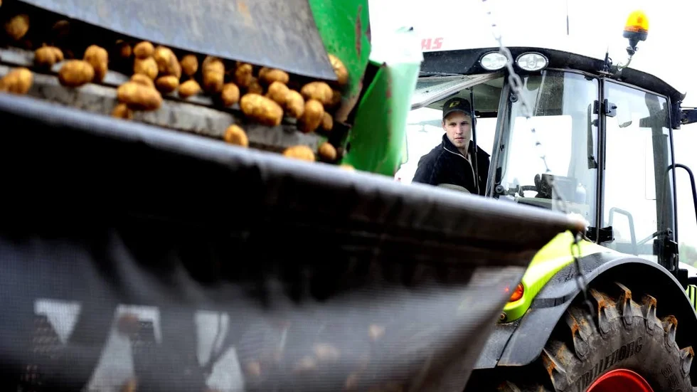 Niclas Källhammer, som äger Wikströms Potatis i Sunderbyn, kommer att få leverera livsmedel till Luleå kommun.