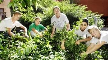 Claes Lundberg, Alexander Nilsson, Johan Mo, Srosht Rasoul och Henrik Bosaeus