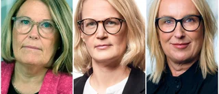 "Lägstalön för arbetskraftsinvandrare är ett feltänk"