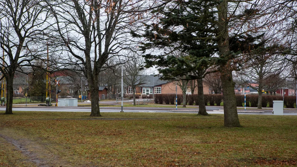 Katarinaskolans elever kommer att korsa gatan för att komma till matsalen som ska byggas på parkyta vid Petrus Magni skolan.