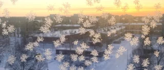 Frissig frost på fönsterrutor i Luleå