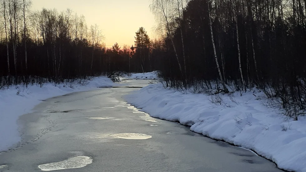 Morgon vid Alterälven.