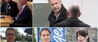 Nytt ljus över fallskärm till kommundirektör: "Det skapar misstankar" ✓Erik Carlgren: "Grundlöst"