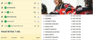 Piteå Hockeys spelare vann över fem miljoner: "Enormt bra tippat"