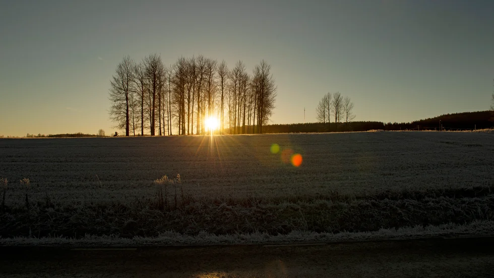 Samtidigt som plusgrader väntas så är chanserna att solen tittar fram i slutet av veckan goda i hela länet.