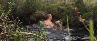 Här räddar hjälten älgkalven från att drunkna