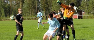 Alvik har kämpat sig till toppen