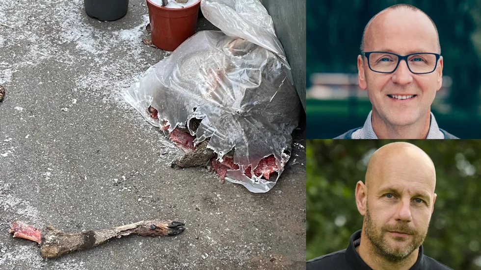 Ett dött rådjur lämnades vid Vagnhärads återvinningsstation. Helt fel enligt både FTI:s regionchef Magnus Sandström och Jägarförbundets kommunikationschef Magnus Rydholm.