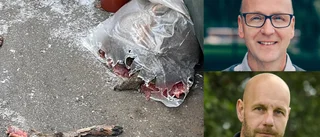 Mikael hittade rådjurshuvud – vid plaståtervinningen ✓FTI: "Vi har sett det mesta" ✓Älgar, kor och skittunnor