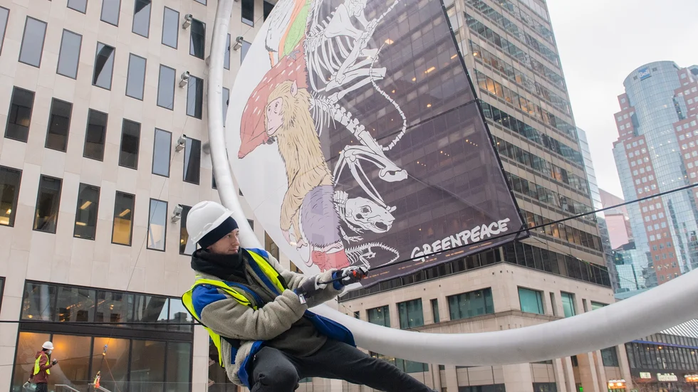 En aktivist från Greenpeace sätter uppe en banderoll med texten "Skydda naturen, skydda livet" på en gata i Montreal tidigare i veckan.