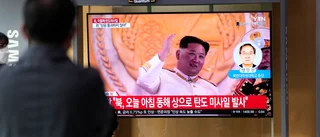Nordkorea sköt robot mot japanskt vatten
