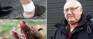 Hund gick till attack mot cyklist – släppte inte
