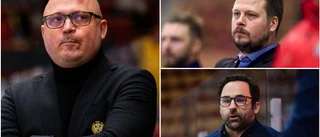 Brynäs förre tränare kontaktade Luleå Hockey – valdes bort