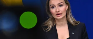 Mineralfynd kan skynda på svensk uranbrytning