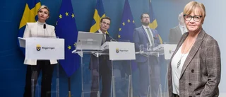 "När en person som är delvis anställd av SD tänder en brandfackla som sätter hela landets Nato-process på spel, då har det inget med SD att göra?"