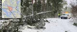 Snöfallet slår mot elnätet – många drabbade av strömavbrott: "Som tur är har vi vedkamin"