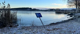 Läsarbilden: Hunden får bada