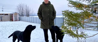 Lena och hundarna Hugo och Bob hjälper kvinnor att läka