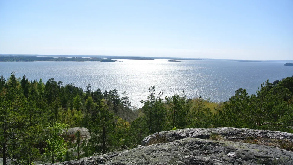 En fantastisk utsikt från Bråvikenförkastningen med hällmarkstallskog som klättrar på hällarna.