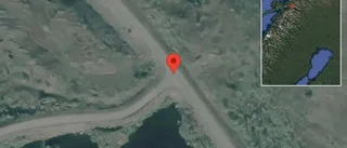Renar på vägen på E10