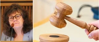Ny politisk organisation vid årsskiftet – nu vill V ändra i beslutet: "Vi vill stärka demokratin"