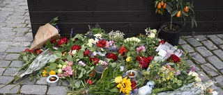 Försvarsadvokaten: Han ville påverka Sverige