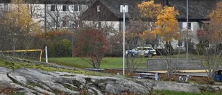 Polisen ryckte ut efter larm om synligt vapen i Skäggetorp