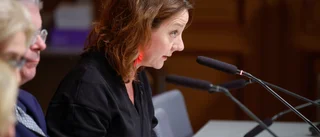 S-kritik: SD har inflytande på EU-politiken