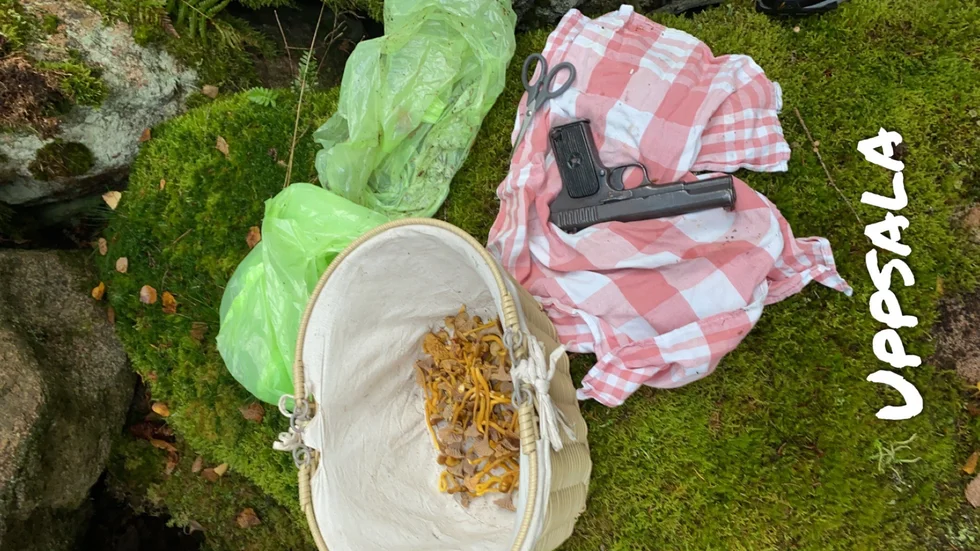 På söndagen hittade en kvinna en pistol när hon plockade svamp i Uppsala.