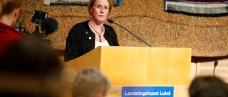 Stenberg nytt landstingsråd