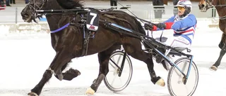 Här är 10-miljonersvinnarna på Bodentravet