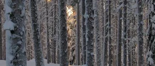 Sex nya reservat i Norrbotten
