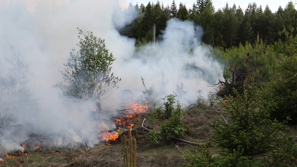 En skogsbrand bröt ut under fredagen i Åtorp, Knivsta kommun. 