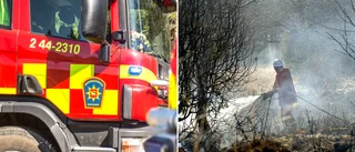 Gnista från elstolpe kan ha orsakat gräsbrand