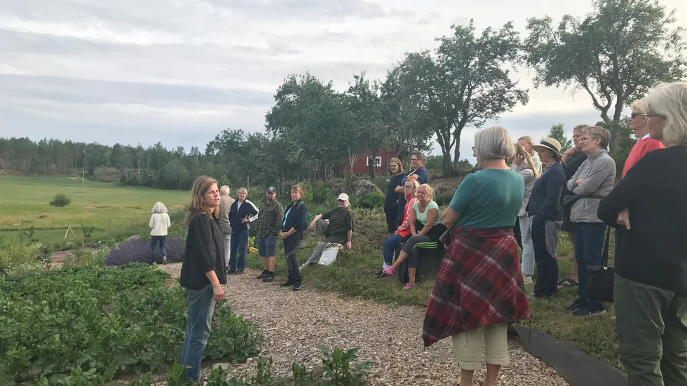 Här berättar odlingscoachen Hanna Hofman-Bang för deltagarna hur fruktträdgården har anlagts. "Vi hade först grisar som bökade upp hela ytan, gödslade och åt upp det värsta rotogräset. Efter det har vi format fram trädgården i terasser ner för slänten. Vi har sått in en perenn blomsteräng för att främja den biologiska mångfalden i fruktträdgården" skriver hon i ett mejl.  

