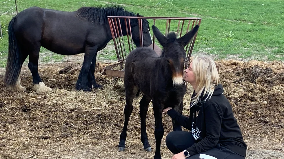 Mulan Fiona, hästen Bell och ägaren Izabelle Corriere. 