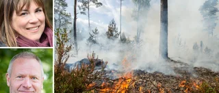 Åtgärderna som kan förhindra nästa skogsbrand i Sörmland
