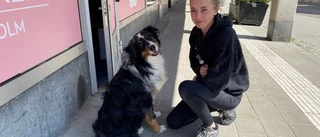 Här öppnar snart Uppsalas första hundfik: "Dröm blir verklighet"