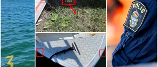 Polisen bar automatvapen vid dramatiska gripandet