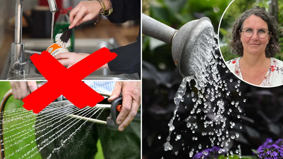 Diska inte under rinnande vatten och undvik vattenspridare. Men vattna gärna med vattenkanna. Det är några av råden från Eskilstuna energi och miljö, där Karin Ols är VA-chef. 