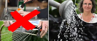 Larmet efter värmen och torkan – spara på vattnet