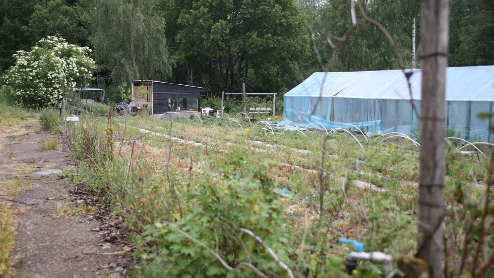 Inga byggnader eller anordningar på över 0,5 meter får uppföras på Mjällerums koloniområde. Det är ett av villkoren för strandskyddsdispensen. Vad som nu ska ske med byggnaderna som redan står där är oklart.
