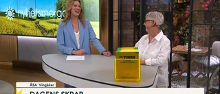 Drömmen ska bli verklighet – efter trissvinsten i tv