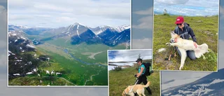 Ida får fjällvandra med ledarhund – sameby överklagar