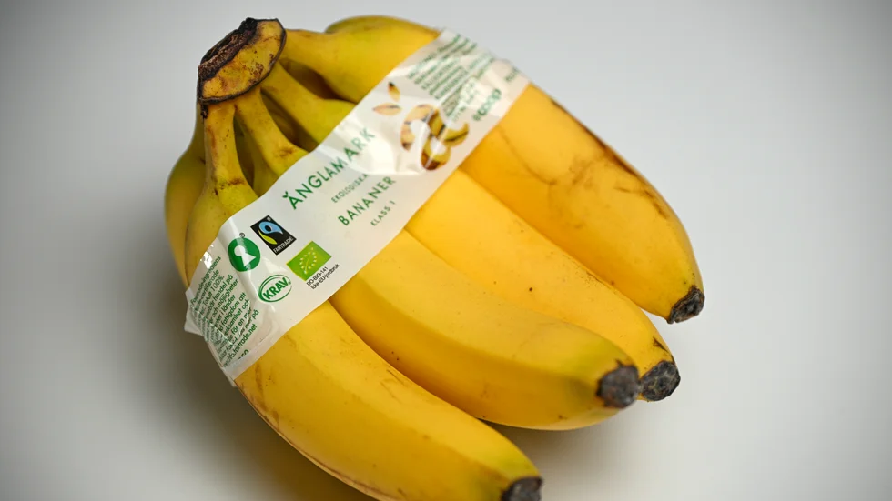 Fairtrade-märkta bananer tappade mest i försäljning i kategorin under 2022. Arkivbild.