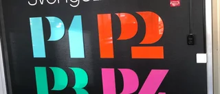 Ledarskribenterna diskuterade inrikespolitiken i P1